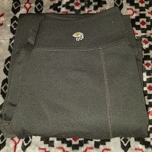 Fleece Mountain Hardwear pants